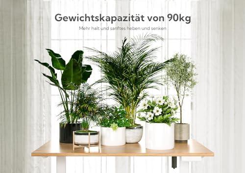 Mein neues Arbeitserlebnis: Der INNOVAR Stehschreibtisch im Test